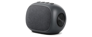 Speaker